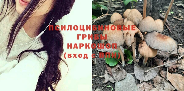 трава Богородицк