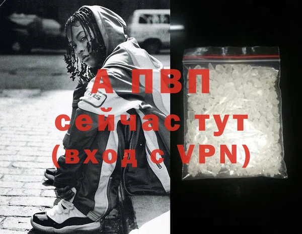 прущие грибы Богданович