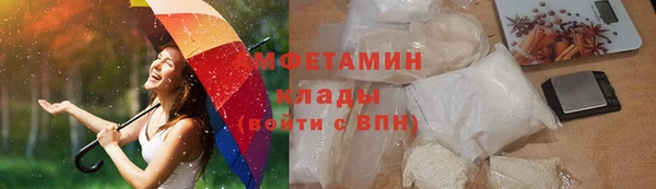 прущие грибы Богданович