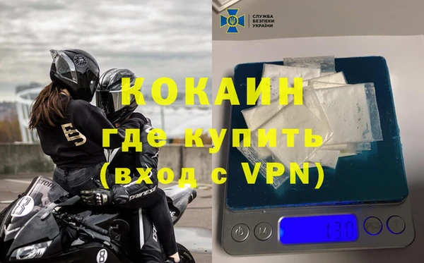 прущие грибы Богданович