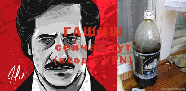 прущие грибы Богданович