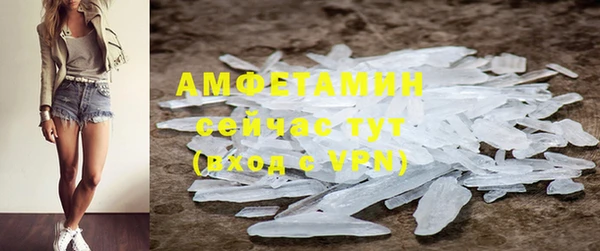 прущие грибы Богданович