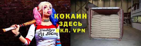прущие грибы Богданович